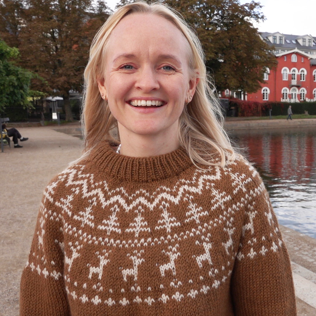 Sweater til voksne med juletræer og rensdyr - strikkeopskrift