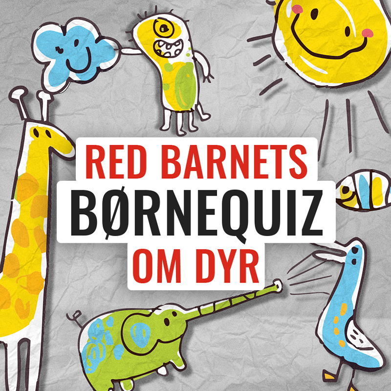 Børnequiz om dyr